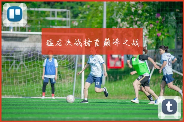 猛龙决战榜首巅峰之战