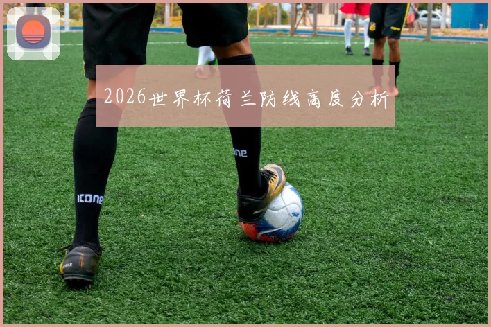 2026世界杯荷兰防线高度分析