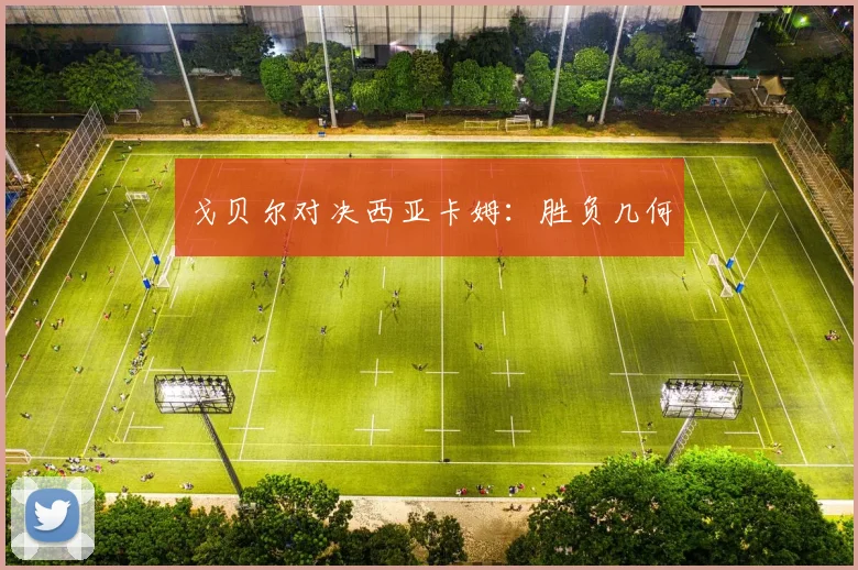 戈贝尔对决西亚卡姆:胜负几何