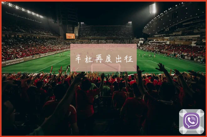 辛杜再度出征