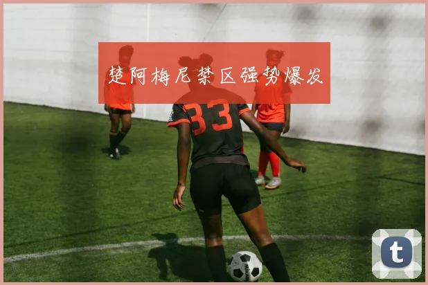 楚阿梅尼禁区强势爆发