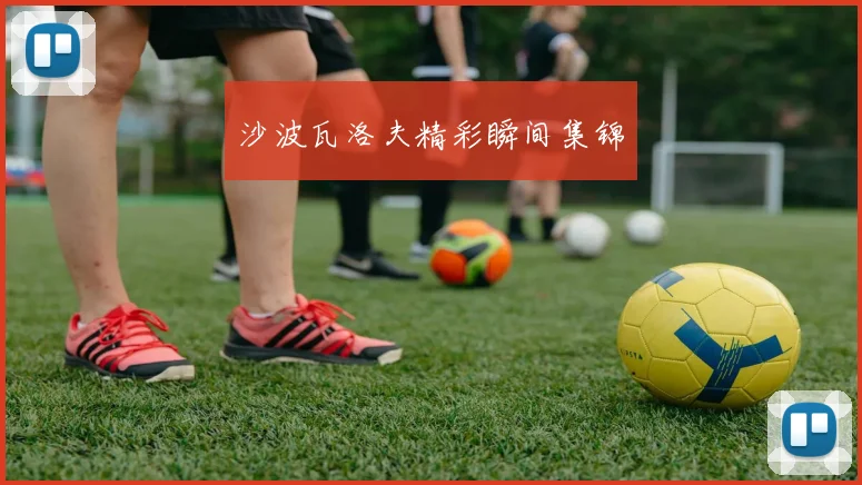 沙波瓦洛夫精彩瞬间集锦
