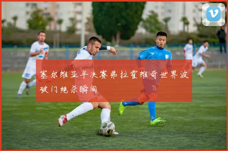 塞尔维亚半决赛弗拉霍维奇世界波破门绝杀瞬间