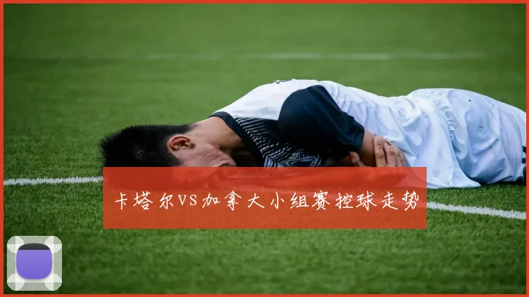 卡塔尔vs加拿大小组赛控球走势