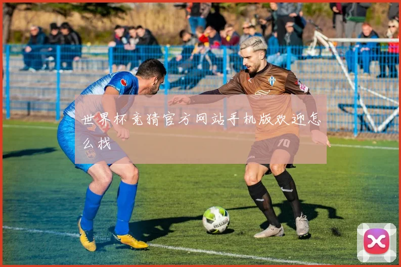 世界杯竞猜官方网站手机版欢迎怎么找