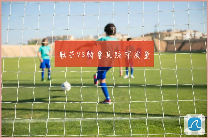 勒芒vs特鲁瓦防守质量